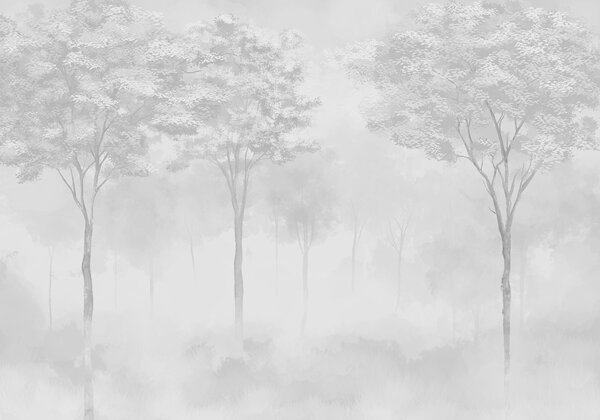 Carta da parati Silhouette di foresta nebbiosa in colore grigio, Carta da parati Foresta, Carta da parati Foresta Nebbiosa, w01599v5 : Uwalls.it