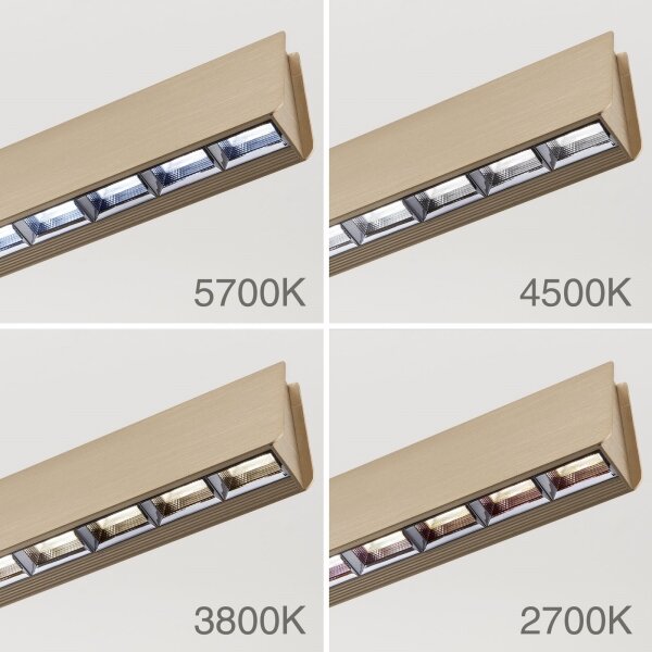 Orion HL 6-1716/120 - Lampadario LED dimmerabile TARA LED/44W/230V oro