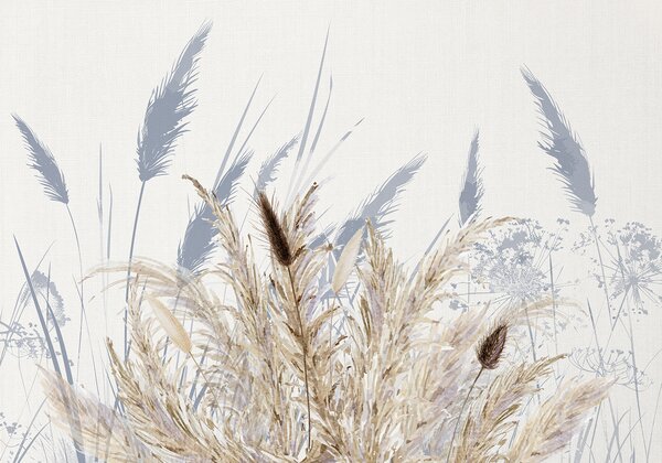 Carta da parati Alti steli di grano ed erba con soffici pennacchi bianchi su uno sfondo chiaro, Carta da parati Natura, w08282 : Uwalls.it