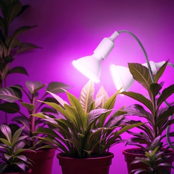 Lampada da tavolo flessibile con clip PLANTY 2xE27/30W/230V bianca per piante