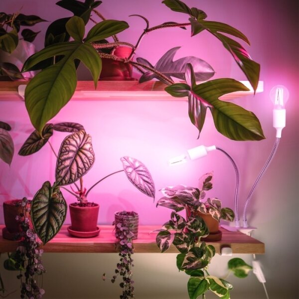 Lampada da tavolo flessibile con clip PLANTY 2xE27/30W/230V bianca per piante