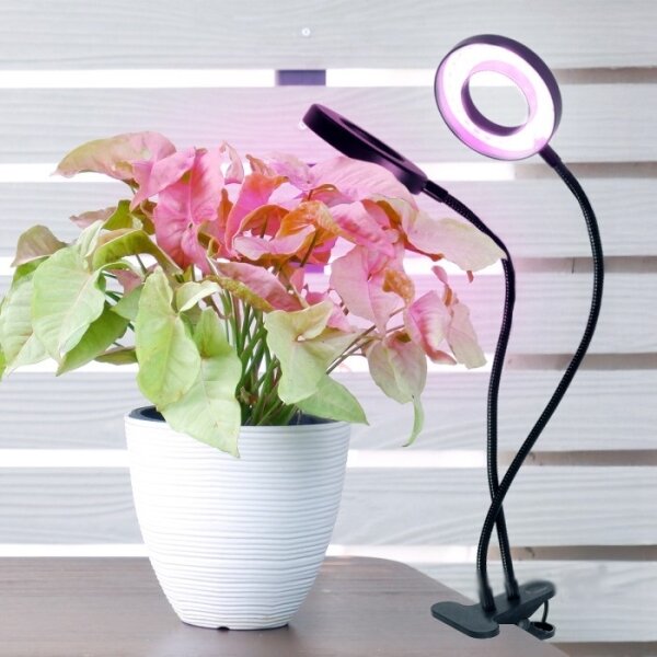 Lampada da tavolo LED Stm flex con clip per piante VITARO 2xLED/4W/230V nera