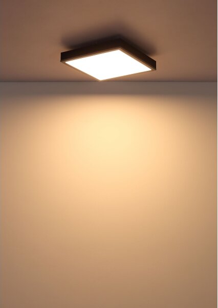 Globo 416080AD1 - Plafoniera LED DORO LED/12W/230V 3000K 30x30 cm