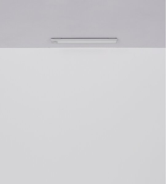 Globo 42408 - Lampada LED ricaricabile TRISTAN 1,4W/5V 1100mAh 24 cm