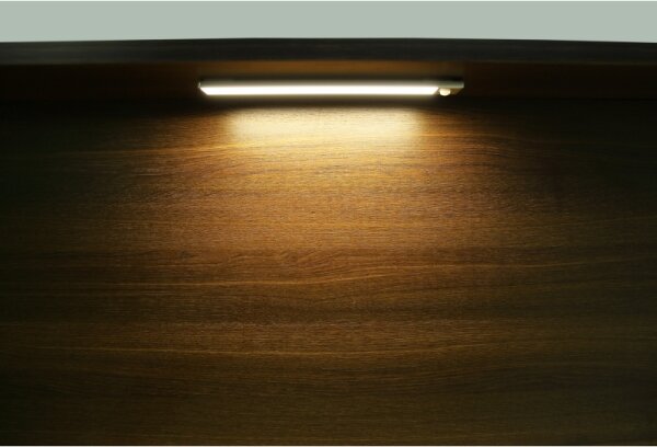 Globo 42408 - Lampada LED ricaricabile TRISTAN 1,4W/5V 1100mAh 24 cm