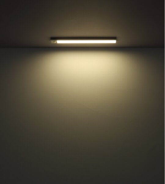 Globo 42408 - Lampada LED ricaricabile TRISTAN 1,4W/5V 1100mAh 24 cm