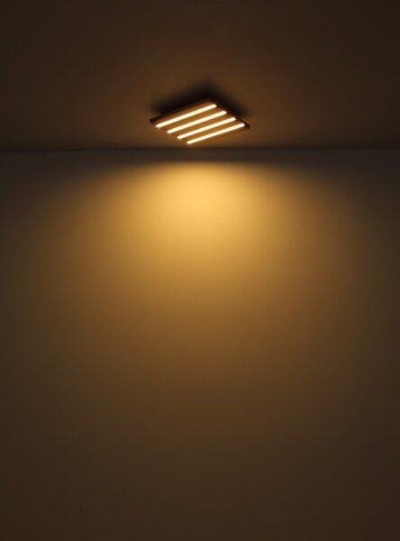 Globo 67347D2 - Plafoniera LED HAYDEN LED/30W/230V 3000K 45x45 cm