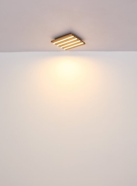 Globo 67347D2 - Plafoniera LED HAYDEN LED/30W/230V 3000K 45x45 cm