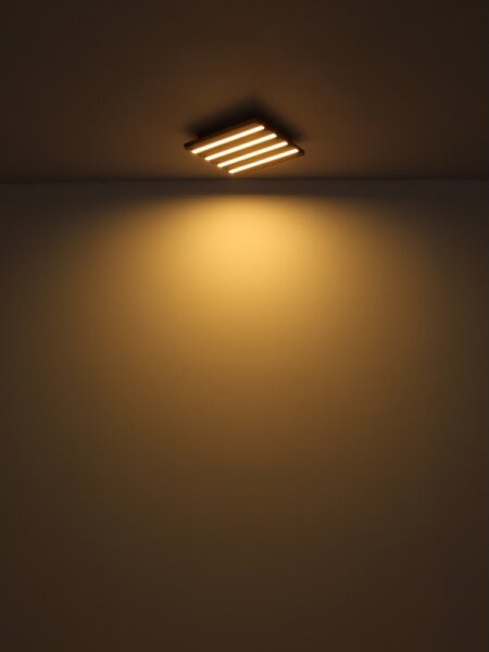 Globo 67347D4 - Plafoniera LED HAYDEN LED/30W/230V 3000K 80x20 cm