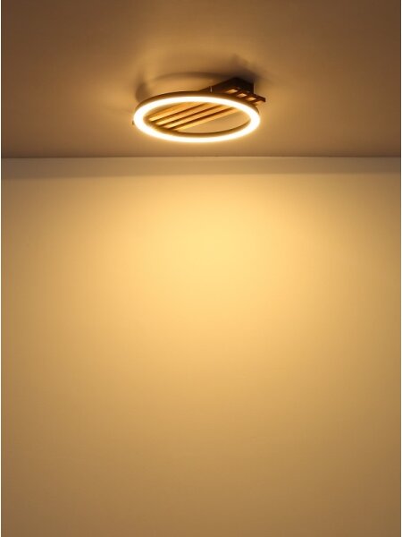 Globo 67353D1 - Plafoniera LED TISHA LED/12W/230V 3000K 30x34 cm