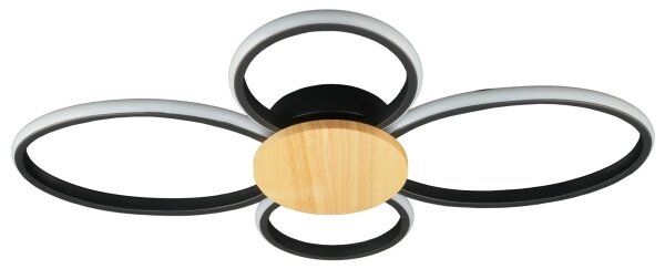 Plafoniera LED SABINA LED/38W/230V Ficus elastica