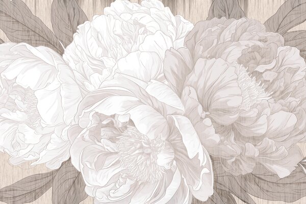 Carta da parati Primo piano di fiori, Carta da parati Natura, Carta da parati popolare, w01141 - Tapeko.it