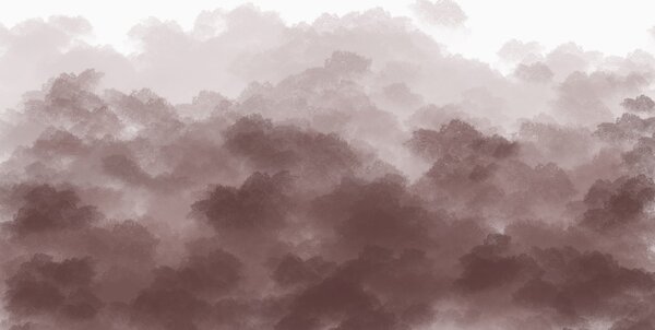 Carta da parati Foresta nella nebbia, paesaggi naturali, colore beige, Carta da parati Cielo, w01880v2 : Uwalls.it