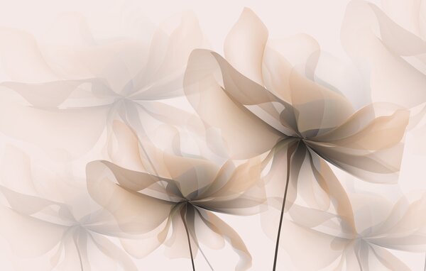 Carta da parati Grandi fiori beige traslucidi, Carta da parati 3D, Carta da parati Fiori 3D, w01926v2 : Uwalls.it