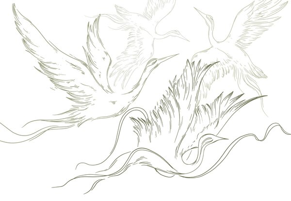 Carta da parati Disegno di uccelli in volo, Carta da parati Natura, Carta da parati popolare, w02061v2 - Tapeko.it