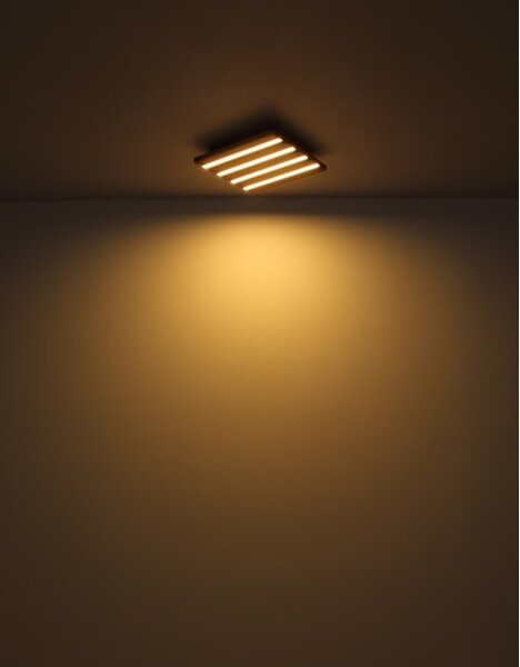 Globo 67347D1 - Plafoniera LED HAYDEN LED/15W/230V 3000K 30x30 cm