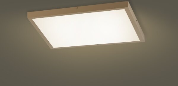 Brilagi - Lampada LED dimmerabile per bagno FRAME SMART LED/50W/230V 60x60 IP44 + Telecomando