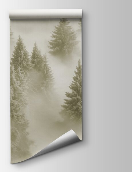 Carta da parati Gruppo di alberi nella nebbia, Carta da parati Natura, Carta da parati popolare, w02064v2 - Tapeko.it