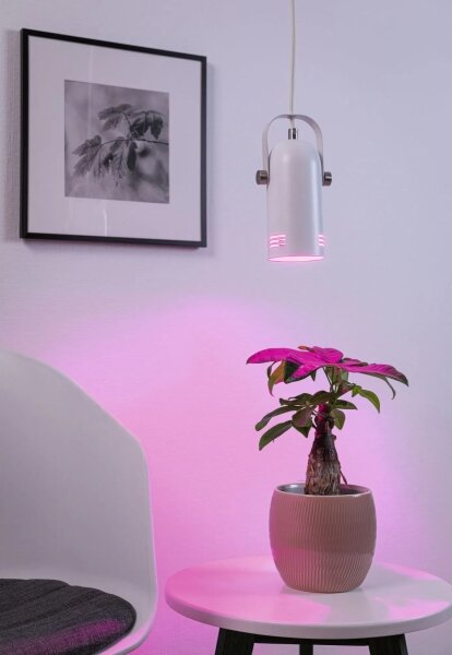 Paulmann 79767 - 1xE27/15W Lampadario a sospensione con cavo LAVEA 230V bianco