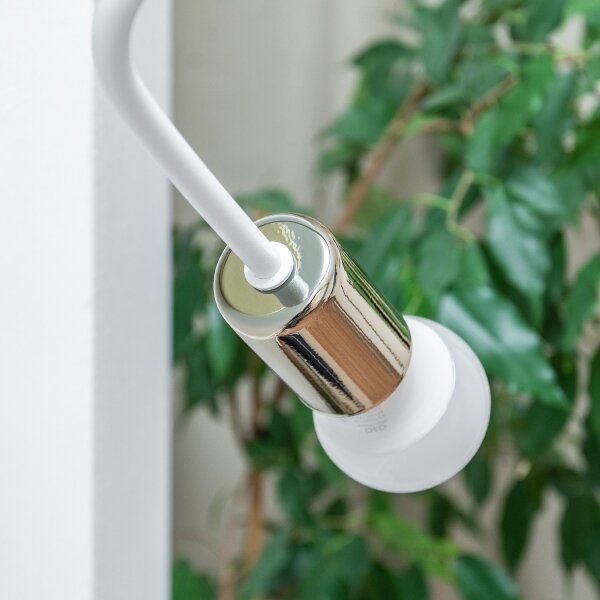 Lampada da parete OXFORD 1xE27/15W/230V oro/bianco