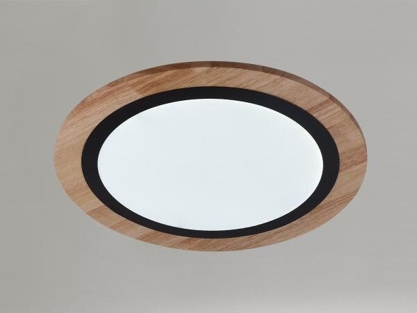 Plafoniera LED dimmerabile LED/25W/230V 3000-6500K + telecomando