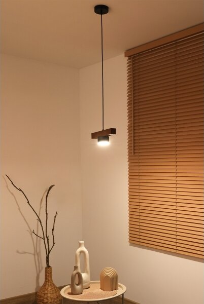 Duolla - Sospensione a cavo IRONLINE 1xGX53/3W/230V pino/rovere/nero