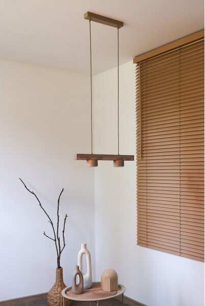 Duolla - Lampadario a sospensione con cavo IRONLINE 2xGX53/3W/230V pino/rovere/beige