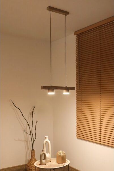 Duolla - Lampadario a sospensione con cavo IRONLINE 2xGX53/3W/230V pino/rovere/beige