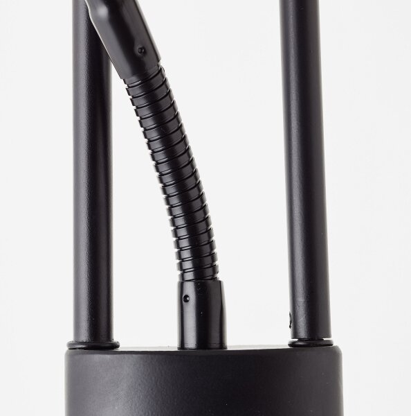 Brilliant - Lampada da terra dimmerabile a LED FINN 2xLED/13W/230V nera