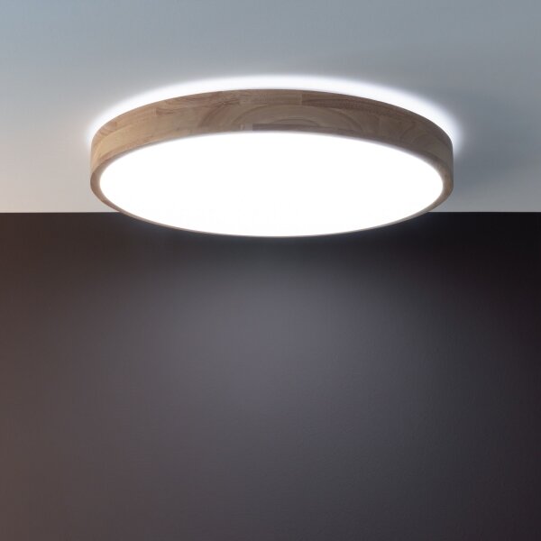 Brilliant - Plafoniera dimmerabile a LED SLIMLINE LED/60W/230V + telecomando