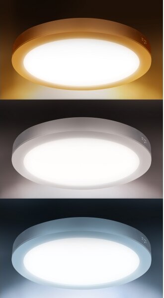 Solight WD244-S - Pannello LED 2 in 1 24W/230V 3000/4000/6000K diam. 30 cm IP54 argento