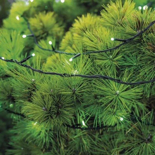 Catena LED natalizia da esterno 100xLED/10m IP44 verde