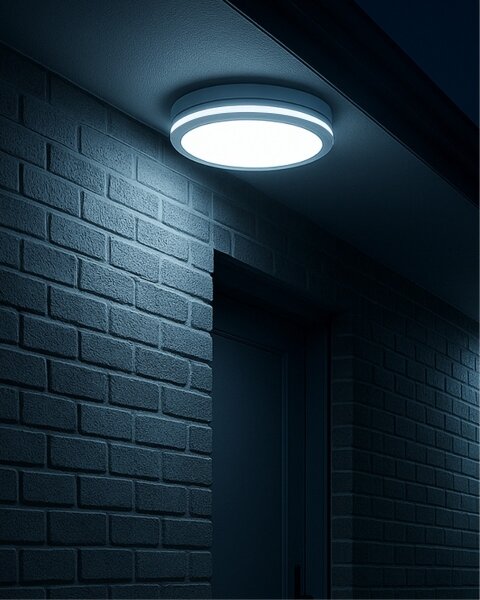 Plafoniera LED con sensore di movimento LED/20W/230V 3000/4000/6500K IP54 bianca