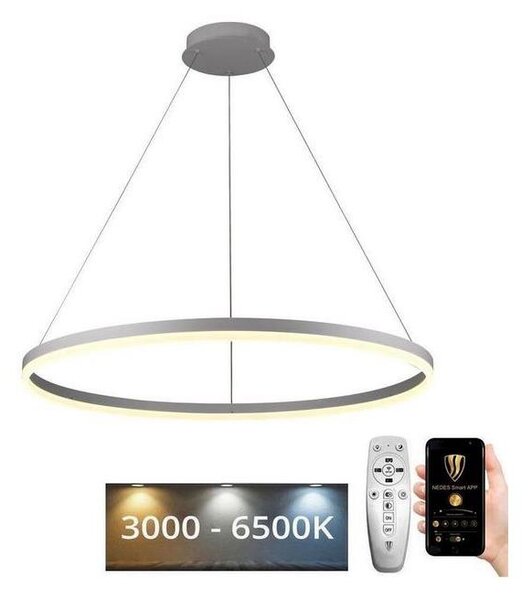 Brilagi - lampadario LED dimmerabile a sospensione con cavo CIRCLE LED/55W/230V 3000-6500K + telecomando