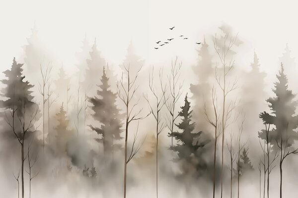 Carta da parati Gruppo di alberi nella nebbia, Carta da parati Natura, Carta da parati popolare, w02721 - Tapeko.it