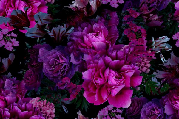 Carta da parati Gruppo di fiori viola, Carta da parati popolare, Carta da parati popolare, u72236 - Tapeko.it
