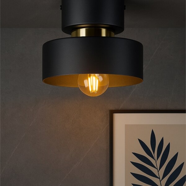 Plafoniera IGNIA 1xE27/60W/230V nero/oro