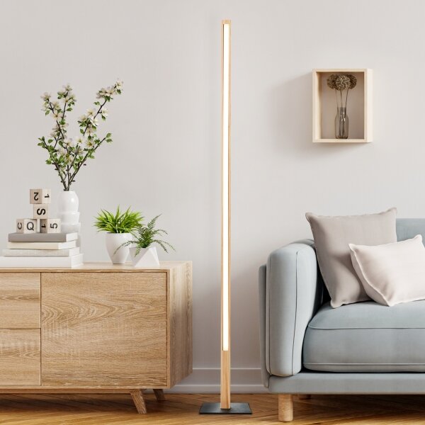 Brilliant - Lampada da terra a LED ARION LED/14W/230V pino