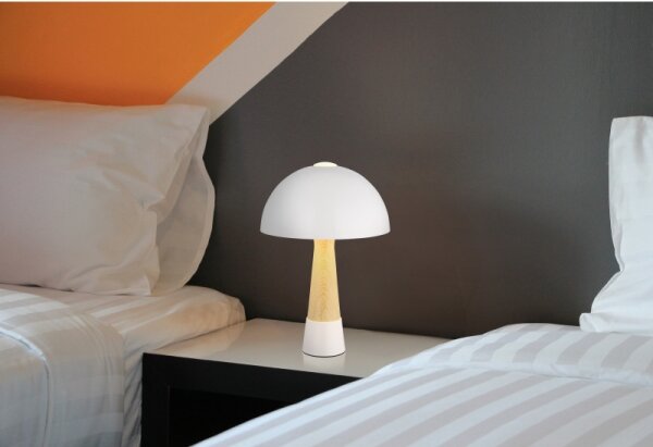 Globo 51570122 - Lampada da tavolo PAULIN 1xE27ILLU/40W/230V bianca