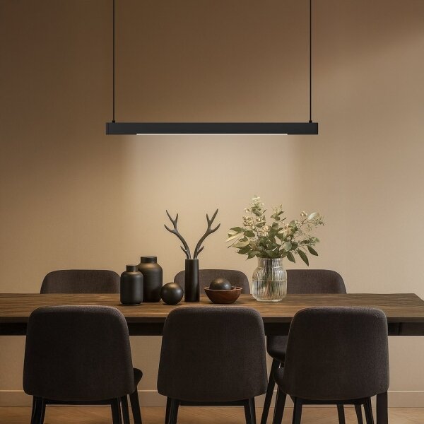 Lampadario LED su cavo LINEA LED/36W/230V 3000/4000/5700K IRC 90 nero