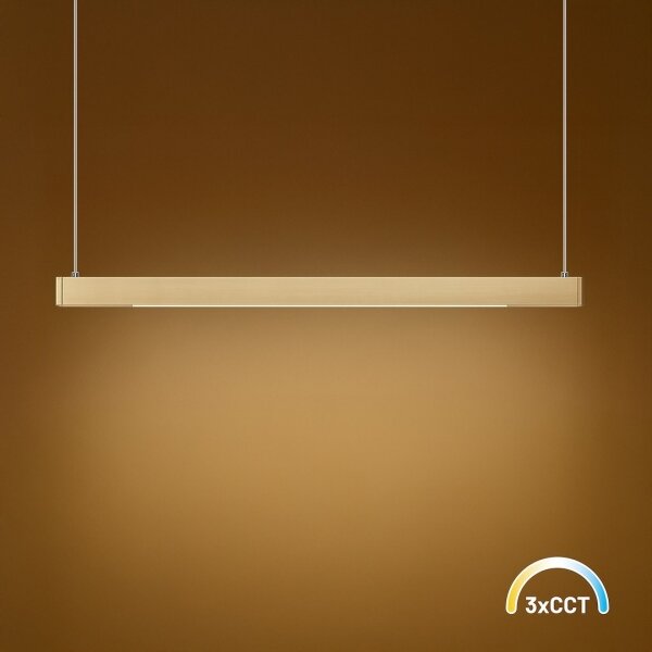 Lampadario LED sospeso su cavo LINEA 36W/230V 3000/4000/5700K CRI 90, dorato