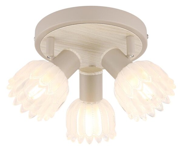 Globo 54317-3 - Faretto PLANTA 3xE14/40W/230V