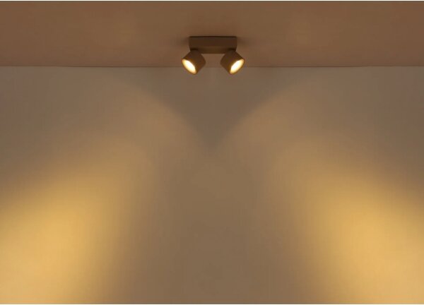Globo 56961-2S - Faretto LED RAE 2xLED/6W/230V