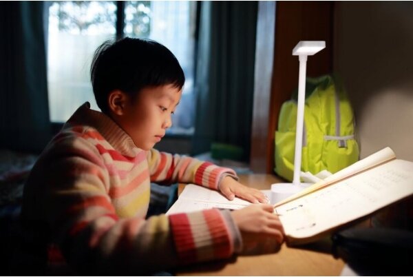 Ledvance - Lampada da tavolo LED dimmerabile con funzione Touch PANAN LED/5,2W/5V 1200mAh