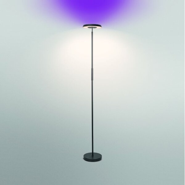 Ledvance - Lampada da terra dimmerabile LED RGBW SMART+ FLOOR LED/24W/230V Wi-Fi