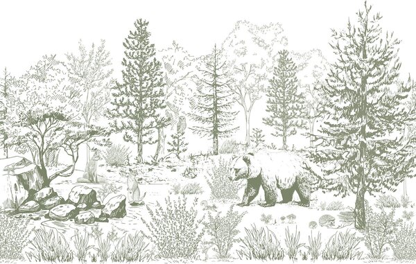 Carta da parati Disegno di un orso in una foresta, Carta da parati animali, Carta da parati popolare, w02929v2 - Tapeko.it
