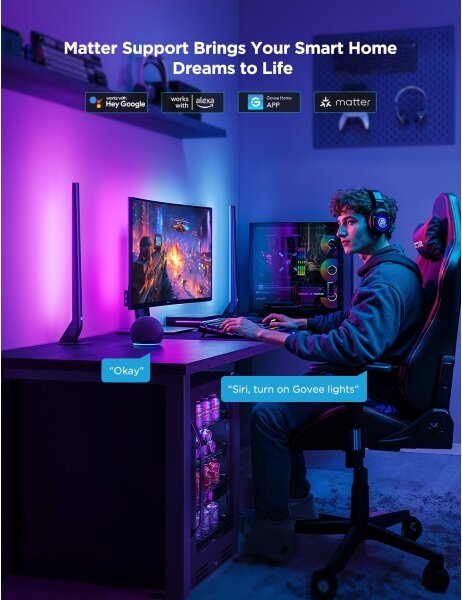 Govee - AI Sync Box Kit 2 Smart kit di illuminazione per PC 27-34" + pannelli LED Wi-Fi