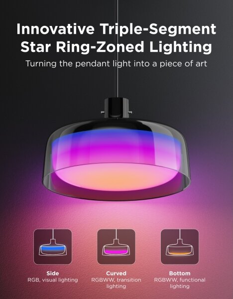 Govee - Lampadario sospeso LED RGBICWW dimmerabile su cavo LED/21W/230V compatibile Matter, Wi-Fi