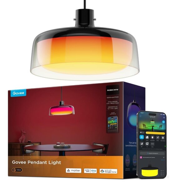 Govee - Lampadario sospeso LED RGBICWW dimmerabile su cavo LED/21W/230V compatibile Matter, Wi-Fi