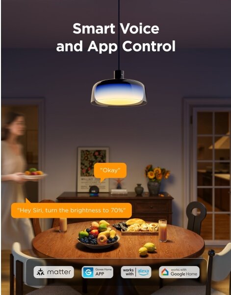 Govee - Lampadario sospeso LED RGBICWW dimmerabile su cavo LED/21W/230V compatibile Matter, Wi-Fi